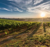 Perth to Margaret River Wine Tour - 2 Day Premium Boutique Wine Tour Experience - Pubs and Clubs