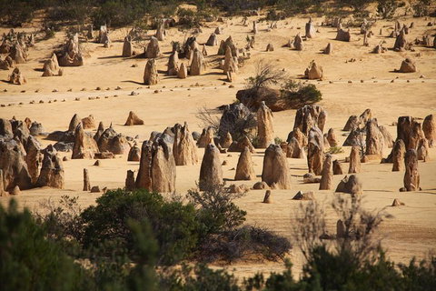 Pinnacles Sunset Dinner And Stargazing Experience A Small Group Tour - Pubs and Clubs 0