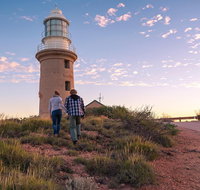 6-Day Coral Coaster from Perth to Exmouth One-Way via Monkey Mia Ningaloo Reef - Pubs and Clubs