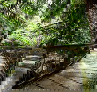 12 Apostles Eco-Friendly Great Ocean Road Iconic Adventure from Melbourne - Pubs and Clubs