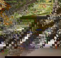 Adelaide Highlights Hahndorf  McLaren Vale Wine Tasting and Sightseeing Tour - Pubs and Clubs