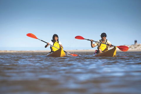 Kangaroo Island Self-Guided Kayaking On The Harriet River - Go Out 2