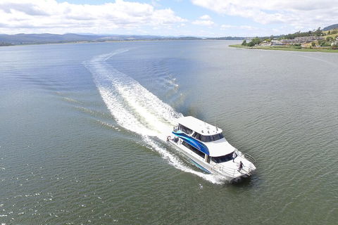 2.50 Hour Afternoon Discovery Cruise Including Cataract Gorge Departing At 3 Pm - Pubs and Clubs 0