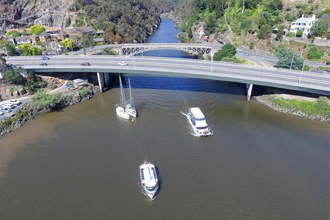 2.50 Hour Afternoon Discovery Cruise Including Cataract Gorge Departing At 3 Pm - Pubs and Clubs 1