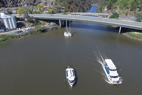 2.50 Hour Afternoon Discovery Cruise Including Cataract Gorge Departing At 3 Pm - Pubs and Clubs 3