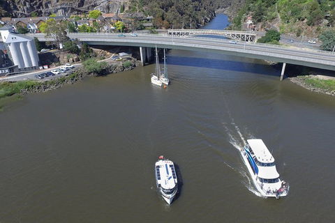 2.50 Hour Afternoon Discovery Cruise Including Cataract Gorge Departing At 3 Pm - Pubs and Clubs 5
