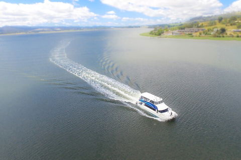 2.5 Hour Afternoon Discovery Cruise Including Cataract Gorge Departs At 1: 30 Pm - Pubs and Clubs 0