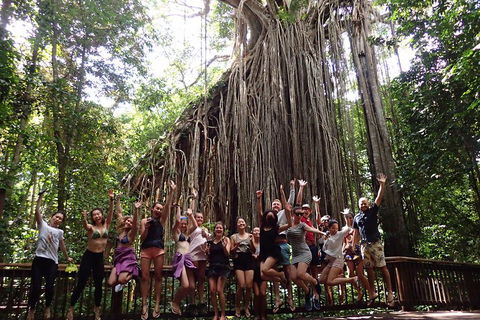 Atherton Tablelands Waterfalls Tour From Cairns - Go Out 5