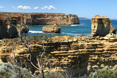 Great Ocean Road Reverse Itinerary Tour - Pubs and Clubs 1