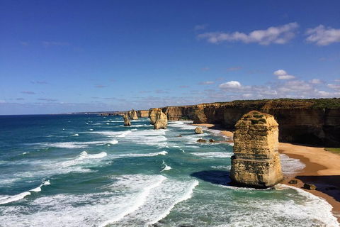 Great Ocean Road Reverse Itinerary Tour - Pubs and Clubs 4