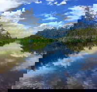 Noosa Everglades Serenity Cruise  Highlights Tour Inc. Lunch  Cruise - Pubs and Clubs