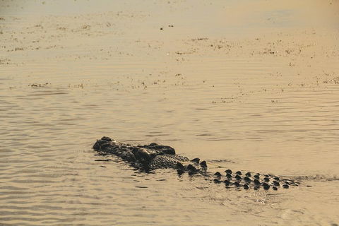 Yellow Water Cruise - Kakadu - Pubs and Clubs 2