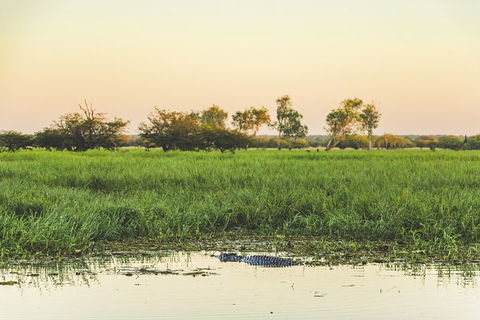 Yellow Water Cruise - Kakadu - Pubs and Clubs 3