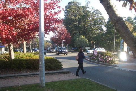 PRIVATE All-Day Blue Mountains Tour With Professional Guide For Up To 4 People - Go Out 1