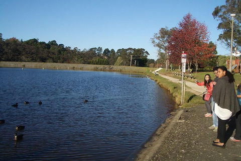 PRIVATE All-Day Blue Mountains Tour With Professional Guide For Up To 4 People - Go Out 2