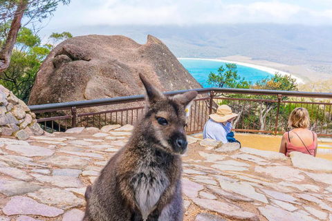 Wineglass Bay & Freycinet NP Full Day Tour From Hobart Via Richmond Village - Pubs and Clubs 0