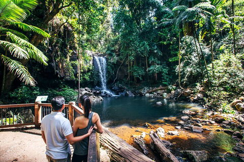 Aquaduck & Your Choice Of Gold Coast Rainforest Tour - Pubs and Clubs 0