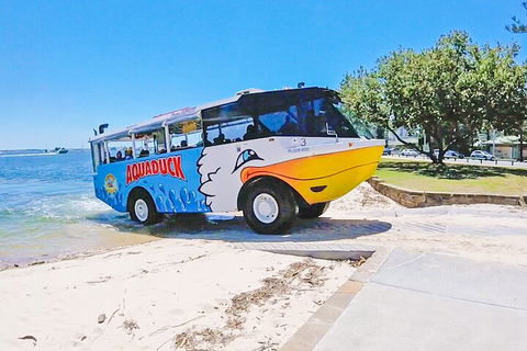 Aquaduck & Your Choice Of Gold Coast Rainforest Tour - Pubs and Clubs 1