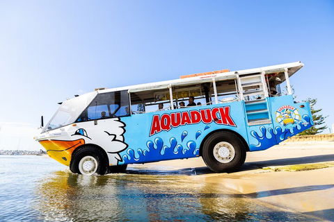 Aquaduck & Your Choice Of Gold Coast Rainforest Tour - Pubs and Clubs 3