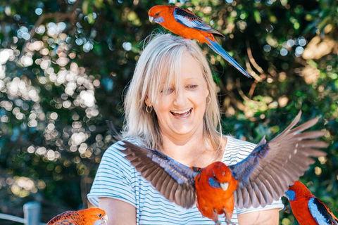 Aquaduck & Your Choice Of Gold Coast Rainforest Tour - Pubs and Clubs 5