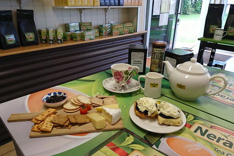 Atherton Tablelands Small-Group Food & Wine Tasting Tour From Port Douglas - Pubs and Clubs 5