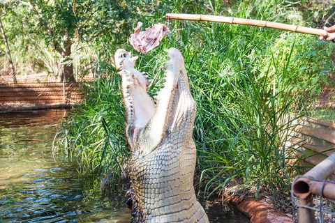 3 In 1 Tour: Matsoâ€™s Brewery, Broome Museum & Malcolm Douglas Crocodile Park - Pubs and Clubs 3