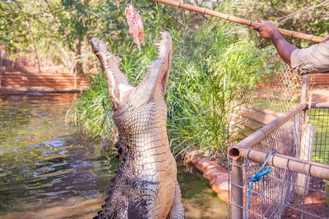 Malcolm Douglas Crocodile Park Tour Including Transportation - Pubs and Clubs 5
