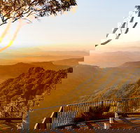 O'Reilly's  Lamington National Park incl. Alpaca Farm  Vineyard - Go Out