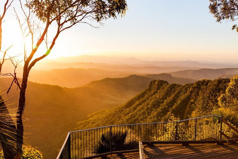 O'Reilly's & Lamington National Park Incl. Alpaca Farm + Vineyard - Go Out 0