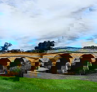 Tasmania 6 Day 'Tour in Circle' - Pubs and Clubs