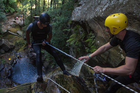Blue Mountains Empress Canyon Adventure From Wentworth Falls - Pubs and Clubs 2