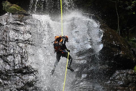 Blue Mountains Empress Canyon Adventure From Wentworth Falls - Pubs and Clubs 3
