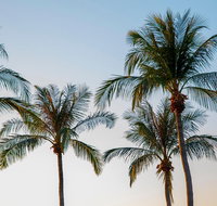 Darwin City Sightseeing Tour - Pubs and Clubs