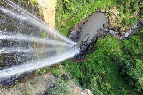 Natural Bridge & Springbrook Waterfalls Tour + Hot Air Balloon With Breakfast - Go Out 1