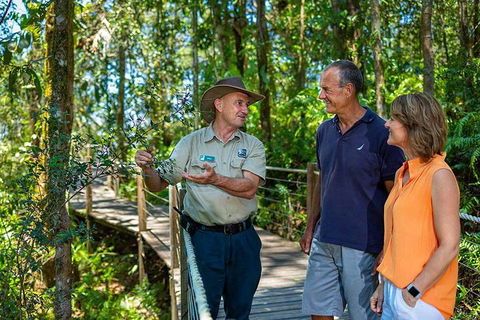 Kuranda Scenic Railway Day Trip From Cairns - Pubs and Clubs 1