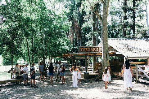 Tropical Fruit World Farm Full Tour - Pubs and Clubs 3