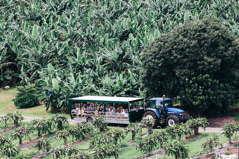 Tropical Fruit World Farm Full Tour - Pubs and Clubs 5