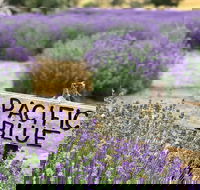 Kangaroo Island Food and Wine Trail Tour - Pubs and Clubs