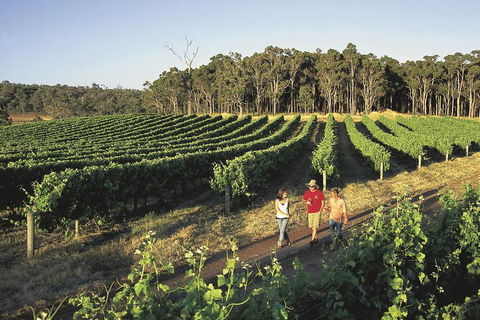 Margaret River, Caves, Wine And Cape Leeuwin Lighthouse Tour From Perth - Pubs and Clubs 1