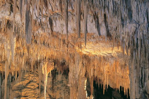 Margaret River, Caves, Wine And Cape Leeuwin Lighthouse Tour From Perth - Pubs and Clubs 3