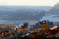 Mt. Wellington Bonorong and Richmond Day Tour from Hobart