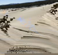 Port Stephens Bush Beach and Sand Dune 4WD Tag-Along Tour - Pubs and Clubs