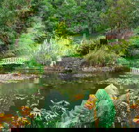 Hobart Half-Day Sightseeing Coach Tram Tour - Pubs and Clubs