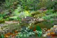 Hobart Half-Day Sightseeing Coach Tram Tour