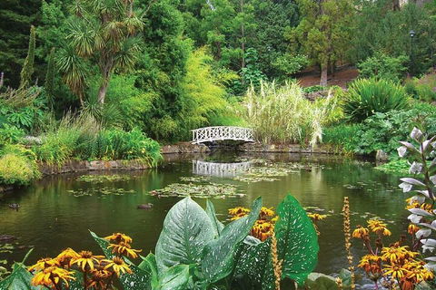 Hobart Half-Day Sightseeing Coach Tram Tour - Pubs and Clubs 0