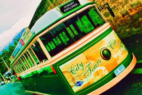 Hobart Half-Day Sightseeing Coach Tram Tour - Pubs and Clubs 5