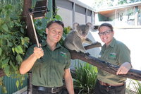 Virtual Interactive Australian Wildlife Tour With Private Guide-Wildlife Habitat, Port Douglas