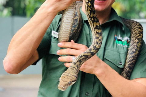 Virtual Interactive Australian Wildlife Tour With Private Guide-Wildlife Habitat - Go Out 1
