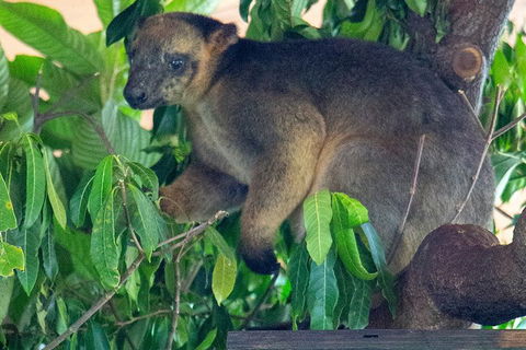 Virtual Interactive Australian Wildlife Tour With Private Guide-Wildlife Habitat - Go Out 4