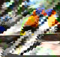 Wildlife Habitat Port Douglas - Pubs and Clubs